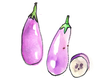 berinjela